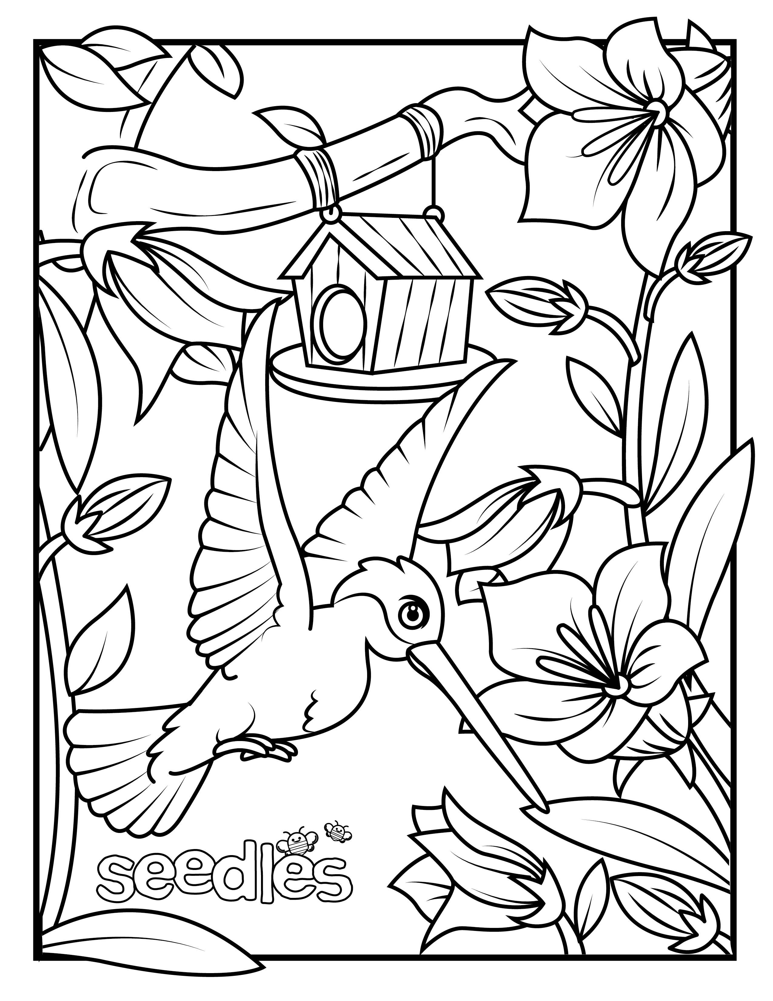 Download Free Coloring Books